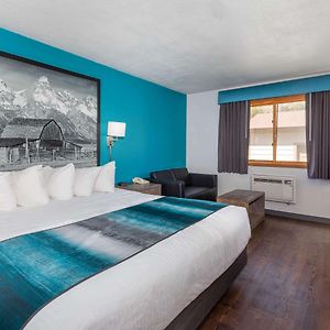 1 Queen Bed Mobility Accessible Room Non-Smoking